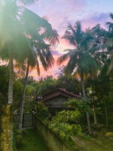 a group of palm trees in front of a house at Slow Life Boutique Hotel - Adults Only in Mirissa