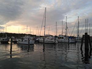 a group of boats docked in a harbor at Landhaus Krummin in Krummin