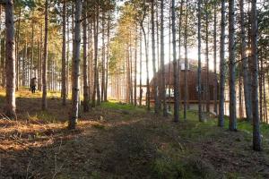 an igloo in the middle of a forest with trees at The Forest Sea Dome in Varna City
