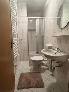 a bathroom with a toilet and a sink and a shower at Villa Märchenland in Kurort Altenberg +50 photos