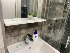 Ένα μπάνιο στο Apartmány Krymlov