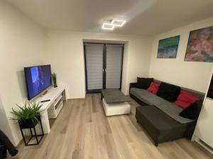 Μια τηλεόραση ή/και κέντρο ψυχαγωγίας στο Apartmány Krymlov