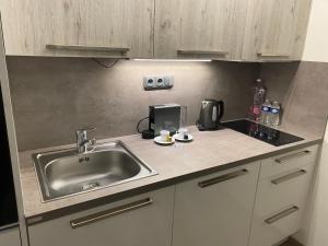 Kuchyň nebo kuchyňský kout v ubytování Apartmány Krymlov + 20 fotografií