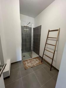 a bathroom with a walk in shower and a ladder at Appartement 48 m2 neuf 150m de la mer A307 in Royan