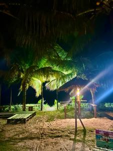 a person standing on a beach at night with palm trees at Flat Ilha da Crôa in Barra de Santo Antônio