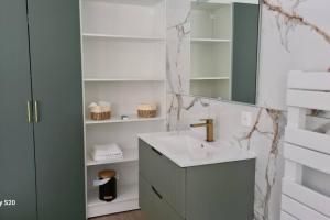un bagno con lavandino e specchio di Appartement Le Marcky a Graulhet