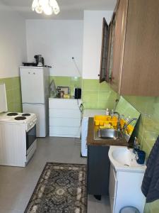 eine kleine Küche mit Spüle und Herd in der Unterkunft Apartment Wien in Wien