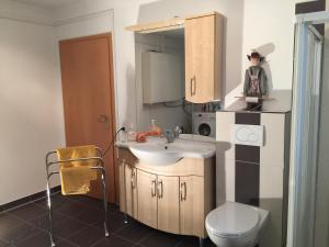 Kuchyň nebo kuchyňský kout v ubytování Appartements Funk