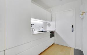 Lovely Apartment In Helsingør With Wifi的厨房或小厨房