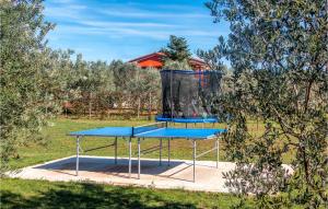 trampolina w parku z klatką do odpalenia w obiekcie Nice Home In Marcana With Sauna w mieście Muntić +37 zdjęć