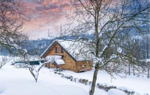 Beautiful Home In Gornji Zvecaj v zime