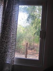 a window in a room with a view of a forest at surf la bamba in Dolores Miramar