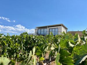 Castillo Toscana Hotel Boutique外面的花园