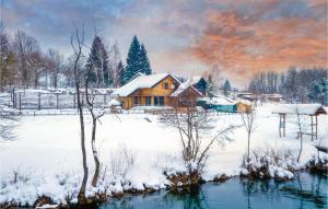 Beautiful Home In Gornji Zvecaj v zime