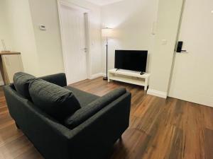 Μια τηλεόραση ή/και κέντρο ψυχαγωγίας στο Eastwood Lodge Apartment No6 Woodhall Spa