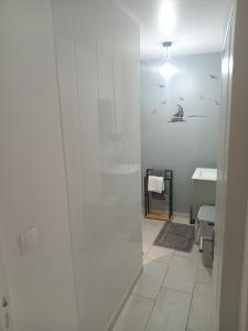 a white bathroom with a shower and a sink at Le Watt'else in Watten +19 photos