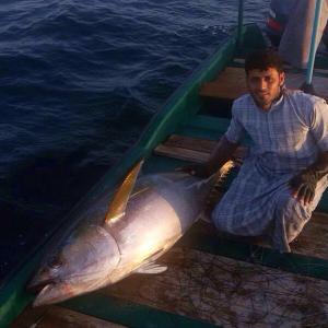 Φωτογραφία από το άλμπουμ του GUEST HOUSEs OYSTERS σε Al Hadd