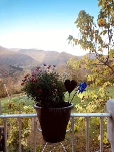 Imagen de la galería de Las Golondrinas, en Cabezón de Liébana