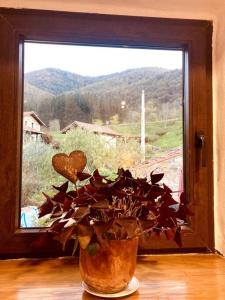 Imagen de la galería de Las Golondrinas, en Cabezón de Liébana