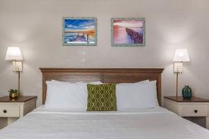 Wake Up to the Waves! Oceanview, Dogs Ok! 1638客房内的一张或多张床位