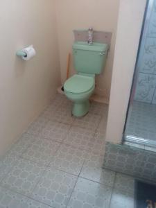 a bathroom with a green toilet in a room at D Quiet Spot Vacation Rental in Peñal