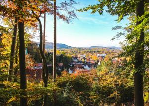 Příroda nedaleko apartmánu