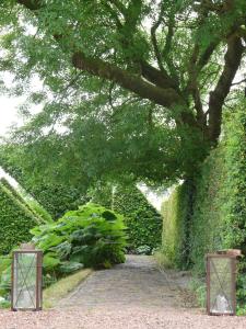 a garden with a tree and a walk way at Landgoedlogies Pábema in Zuidhorn