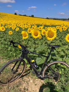 Đạp xe trong hoặc quanh B&B La Paillole