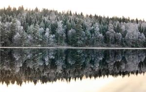 Paesaggio naturale nelle vicinanze della casa vacanze