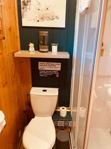 a small bathroom with a toilet and a shower at LE BLANC NORDIQUE in Le Bouchet-Mont Charvin +82 photos