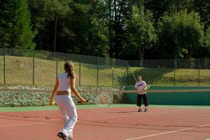 Facilități de tenis și/sau squash la sau în apropiere de Logis Hôtel Clair Matin