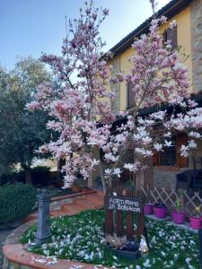 Fotografie z fotogalerie ubytování Azienda agrituristica La Borgaccia v destinaci Baiso