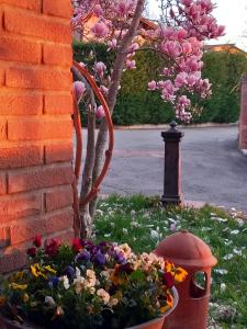 Fotografie z fotogalerie ubytování Azienda agrituristica La Borgaccia v destinaci Baiso + 27 fotografií