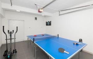 a blue ping pong table in a room at Beautiful Home In Gornji Vinjani in Gornji Vinjani