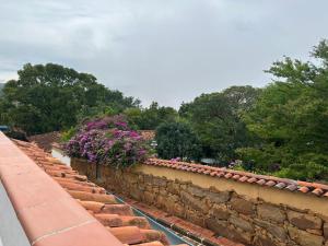 een keermuur met paarse bloemen erop bij Apartamento Ines María in Barichara +2 foto's