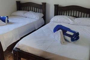 two beds sitting next to each other in a room at Finca en el Quindío - Arrullo Cafetero in Quimbaya +15 photos