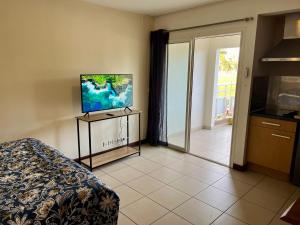 TV a/nebo společenská místnost v ubytování Joli studio à l Anse Vata + 6 fotografií