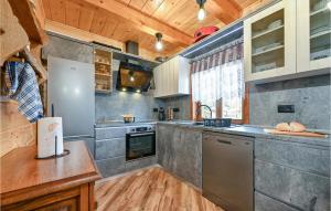 a kitchen with stainless steel appliances and a wooden ceiling at Awesome Home In Vinogradi Ludbreski in Ludbreg