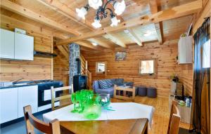 Kuchyňa alebo kuchynka v ubytovaní Beautiful Home In Radakovo With Sauna