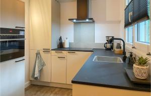 una cucina con un lavello e un piano di lavoro di 3 Bedroom Lovely Home In Marienberg a Mariënberg Altre 19 foto