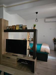 a living room with a flat screen tv on a wooden entertainment center at Luxury 1 Bedroom Apartment in Roşu