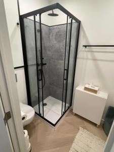 un baño con ducha y WC en Stadsstudio op toplocatie, en Amberes
