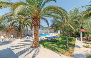 a palm tree in a yard with a pool at Nice Home In Zdrelac With Sauna in Ždrelac +51 photos