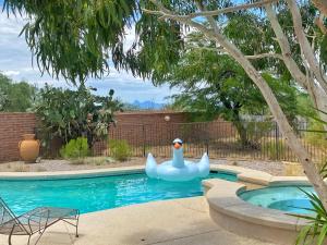 a inflatable rubber duck in a swimming pool at Lazy H Bar Desert Outpost Ranch House with Pool and Hot Tub in Tucson