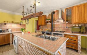 kuchnia ze zlewem i blatem w obiekcie 3 Bedroom Nice Home In Plovanija w mieście Plovanija