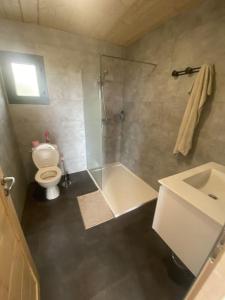 a bathroom with a shower and a toilet and a sink at Chalet des loulous , 3 chambres, 8 couchages in Font-Romeu-Odeillo-Via +25 photos