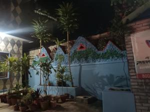 A garden outside Krishna Inn