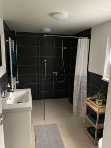 a bathroom with a shower and a sink at Ferienwohnung König in Schnaittenbach