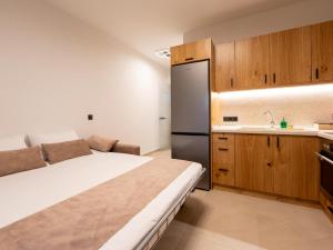 Η κουζίνα ή μικρή κουζίνα στο ANTONY's LUXURY APARTMENTS