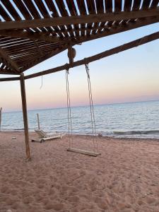 Un columpio vacío en la playa al atardecer en Anne Sinai best camp, en Nuweiba